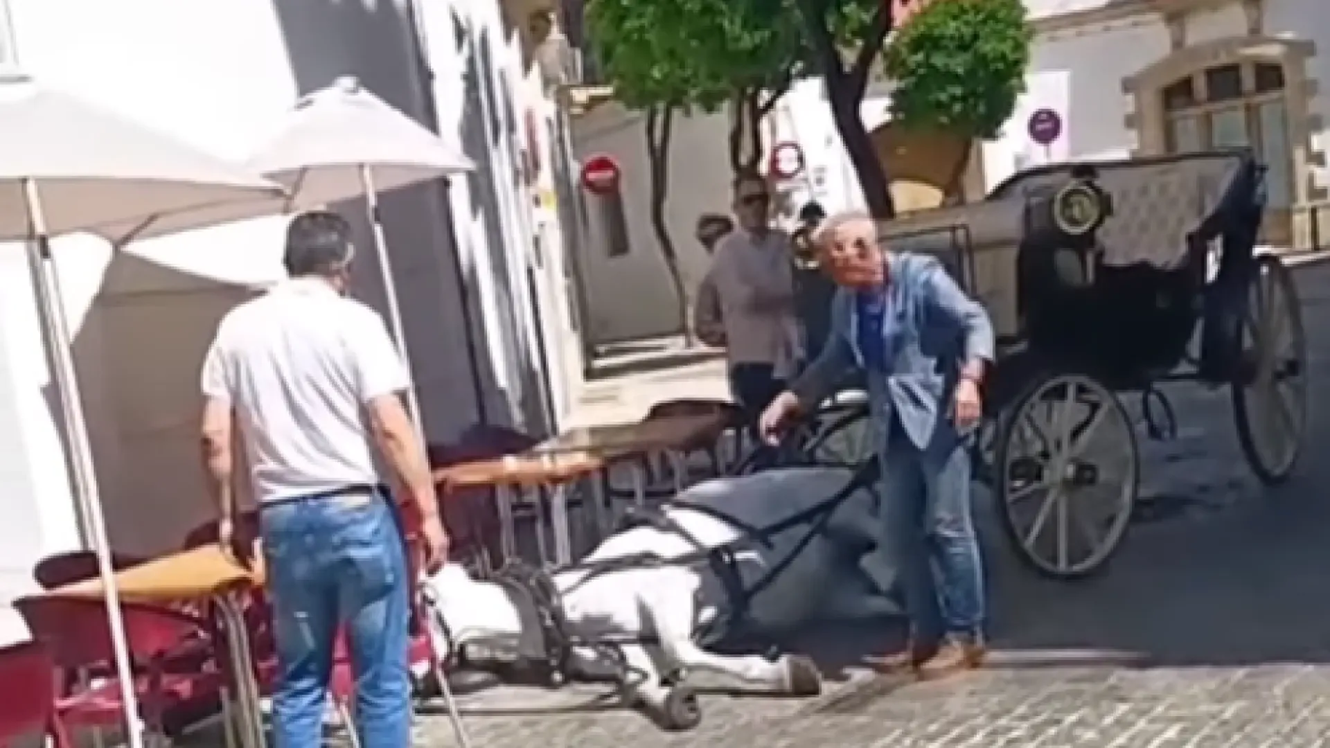 Un caballo que tiraba de una calesa se desploma hasta en tres ocasiones tras horas de trabajo en Jerez