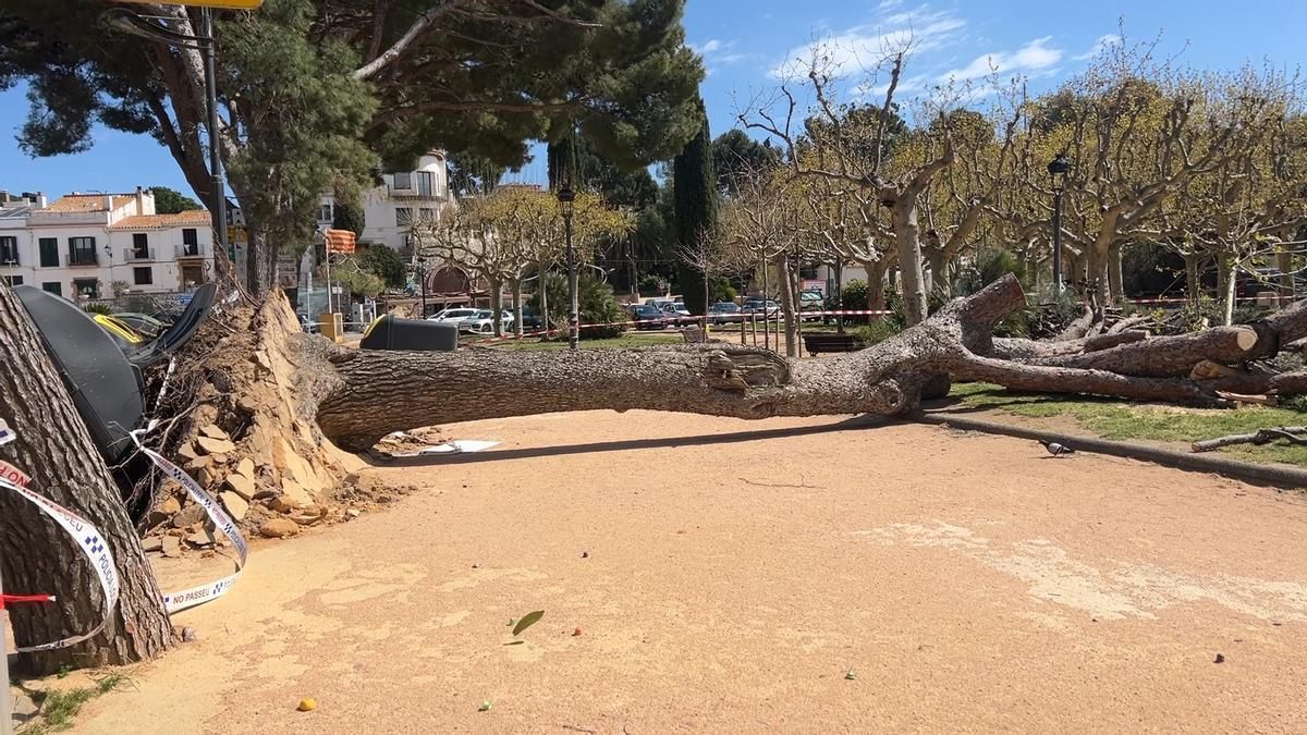 Catalunya mantiene la alerta por fuerte viento este miércoles