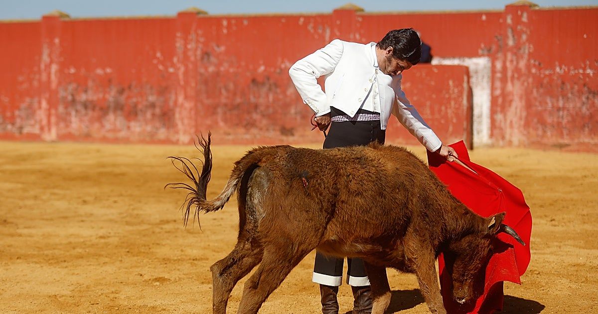 Morante: "Yo no hago eventos, lo que yo defiendo es la liturgia de una corrida de toros"