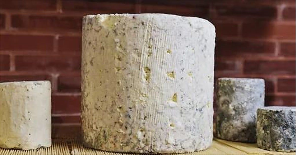 Un queso azul gallego es el 'Mejor queso de España 2026'